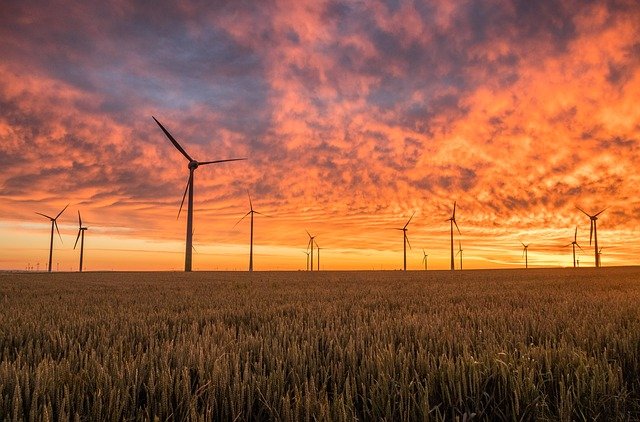 green windmills