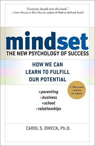 mindset book