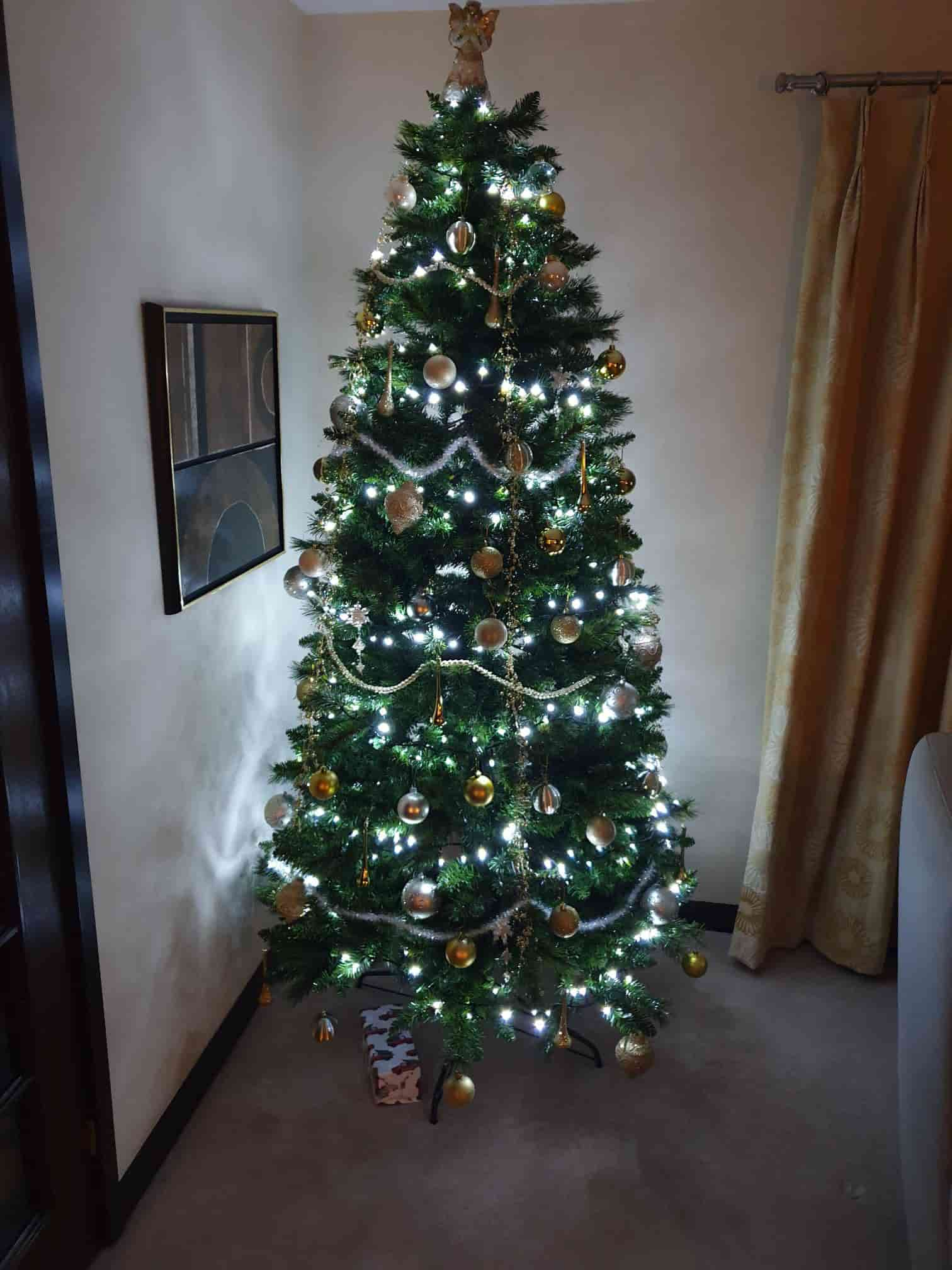 Our Christmas Tree